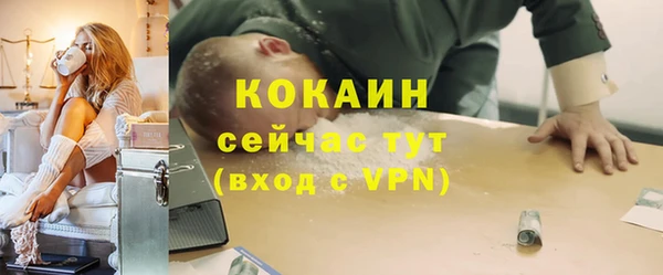 дживик Вяземский