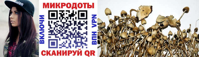 сайты даркнета какой сайт  наркотики  Звенигород  Псилоцибиновые грибы ЛСД 